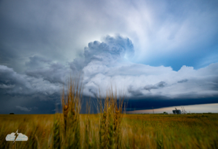 Beauty over the wheat field.