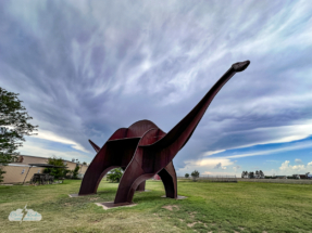 Then we headed back to Boise City to reconnoiter.