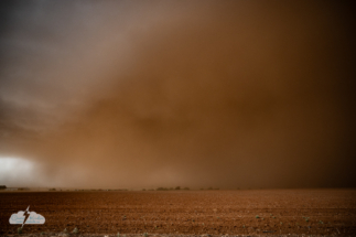 Dust-o-rama.