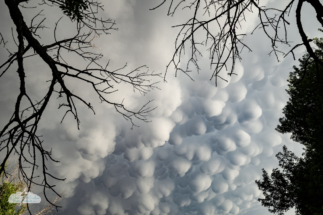 We stopped at a rest stop southwest of York, Nebraska, to ogle one of the best mammatus shows I've ever seen.