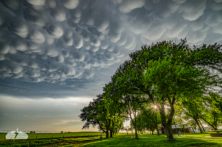 Trees beautifully framed the mammatus.