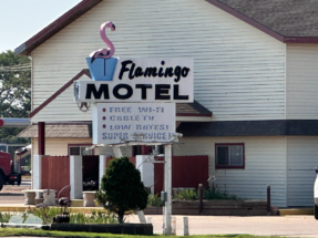 Flamingos in Hugoton, Kansas. Who knew?