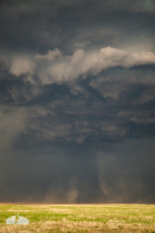 Dust is kicked up under the storm.