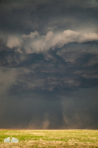 Dust is kicked up under the storm.