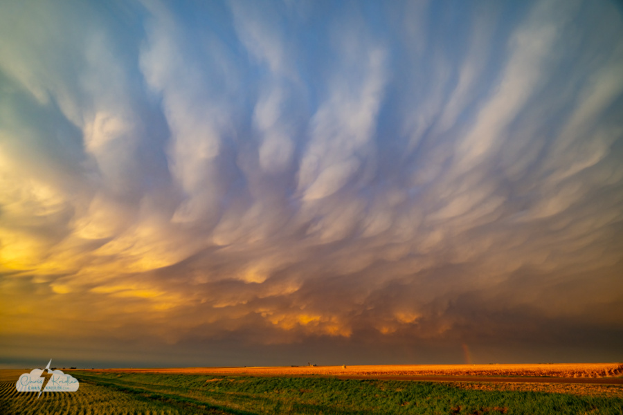 A wider shot of the mammatus with rainbow and Kansas wheat.