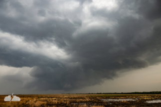 One of multiple tornado-warned storms we saw in Kansas today - this was north of Minneapolis, Kansas. One of multiple tornado-warned storms we saw in Kansas today - this was north of Minneapolis, Kansas.