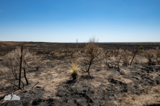Fire-scorched land south of Meade, Kansas. Fire-scorched land south of Meade, Kansas.