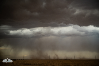 Vortices in the dust!