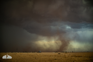 The birth of a tornado.