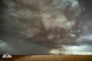 This dust whirl at 6:18 p.m. would soon become a dust wedge, but we were getting rain and decided to reposition.
