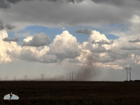 Dust is kicked up under the storms.