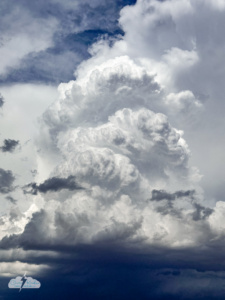 While this tower percolated north of Abernathy, Texas, just to our east, the gears were turning in the atmosphere, poised to create a wild show.