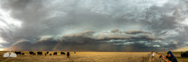 A multi-image panorama shows the developing haboob and Bill and Alethea. A multi-image panorama shows the developing haboob and Bill and Alethea.