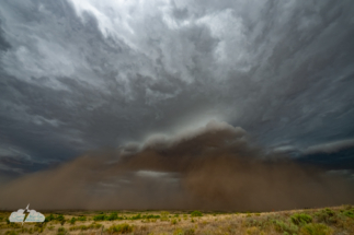Between Dumas and Amarillo, the pretty haboob churns up dust. Between Dumas and Amarillo, the pretty haboob churns up dust.