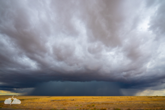 Storm near Ramon, New Mexico, May 26, 2026. Photo by Chris Kridler Storm near Ramon, New Mexico, May 26, 2026. Photo by Chris Kridler