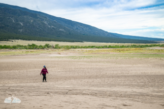 Alethea traverses the sand.