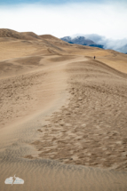 The crest of a dune.