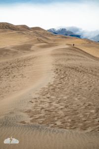 The crest of a dune.