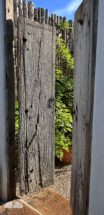 On May 27, I opened a door to a secret garden... well, a hotel courtyard.