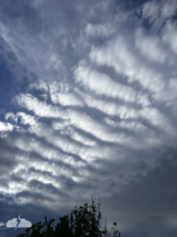 We met up with Jason's family at their house in the Denver area, where they provided lovely clouds!