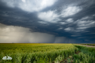 The line of storms over the wheat.