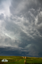 Closer to Wellfleet, the storm sported impressive mammatus and striations.