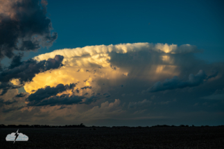 At sunset, this cell exploded! At sunset, this cell exploded!