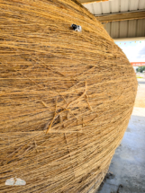 Cow checked out the sisal twine ball. Cow checked out the sisal twine ball.