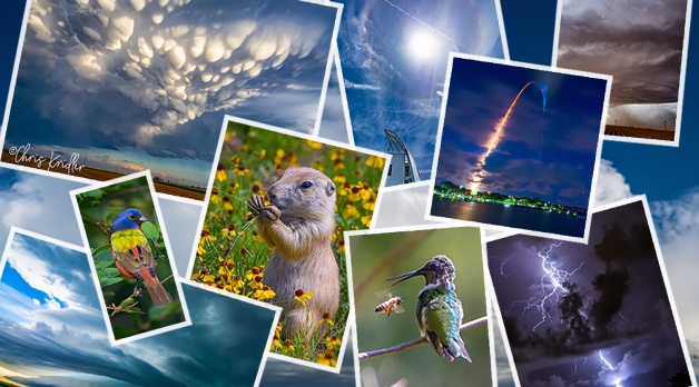 My favorite photos of 2021 – storms, launches and critters, oh my