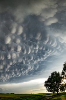 A multi-image panorama of the mammatus show.