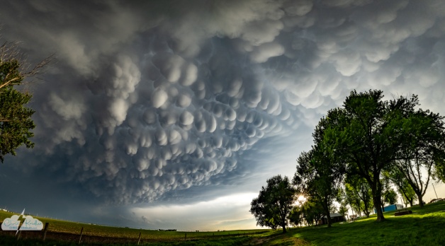 A multi-image panorama of the mammatus show.