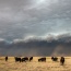23 May 2026: Invasion of the haboob in the Texas Panhandle