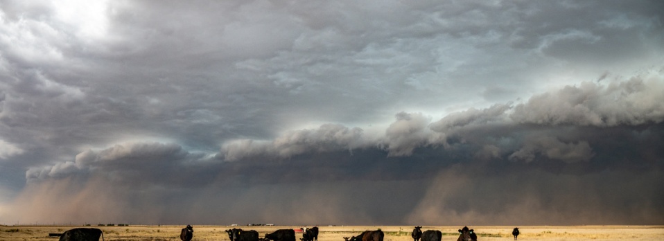 The beginnings of the haboob near Dumas, Texas, May 23, 2026.