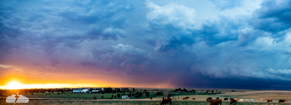 29 May 2026: We’ve got cows! Storm chasing from Colorado to Kansas